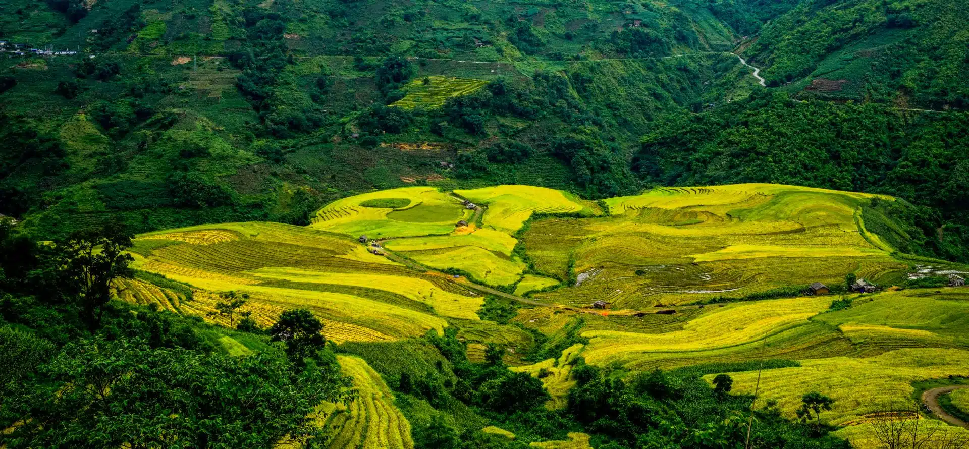 Mu Cang Chai and Sapa Photography Tour Sapa tour by Origin Vietnam