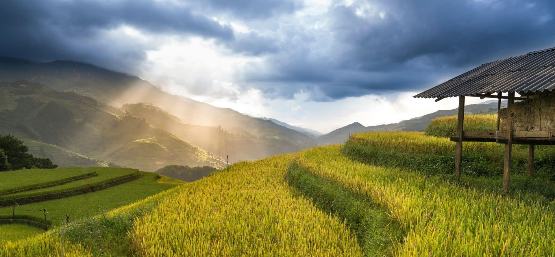 Amazing Mu Cang Chai Mu Cang Chai tour by Origin Vietnam