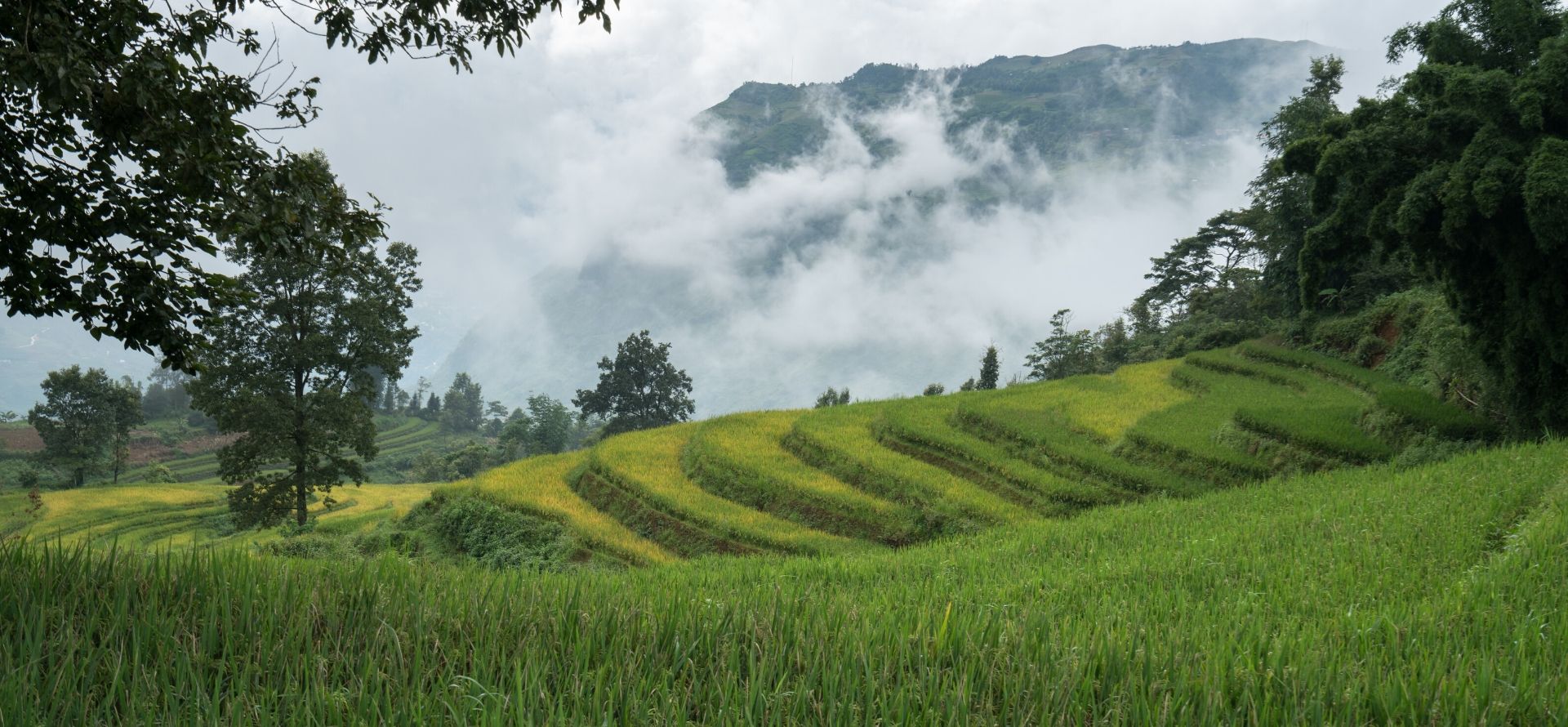 Sapa Weekend Getaway Sapa tour by Origin Vietnam