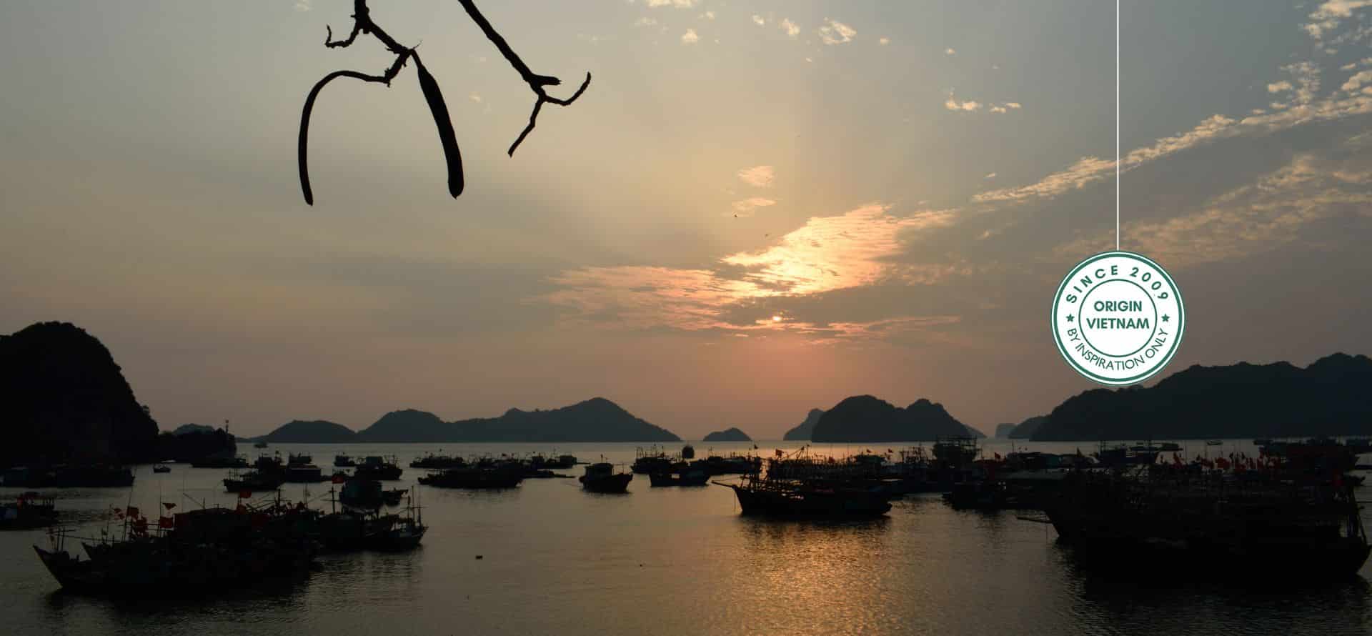 Cat Ba Island tours showcasing coastal landscapes and island nature