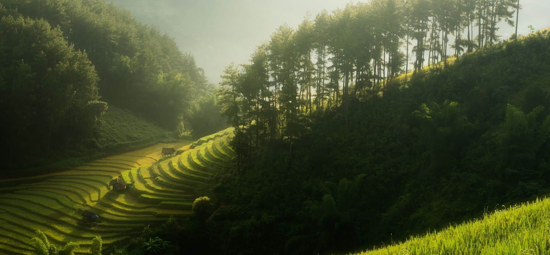 Cu Vai Village Tour Package Mu Cang Chai tour by Origin Vietnam