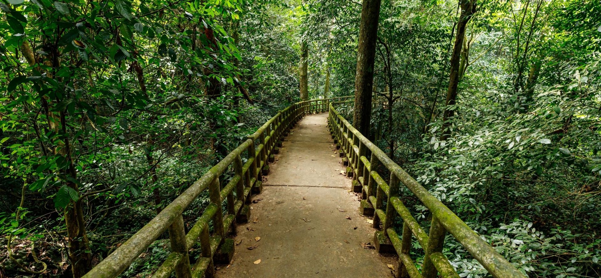 Cuc Phuong National Park tour from Hanoi - Discover the Real Ninh Binh with Origin Vietnam