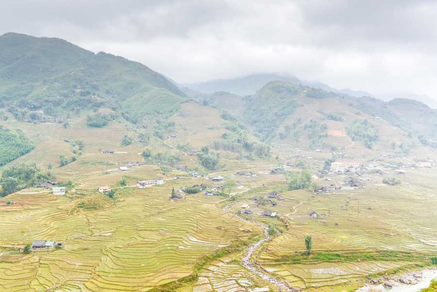 image terrace rice field at Lao Chai Village