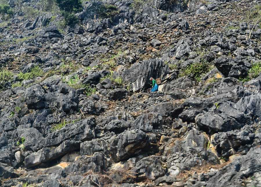 Dong Van Karst Plateau