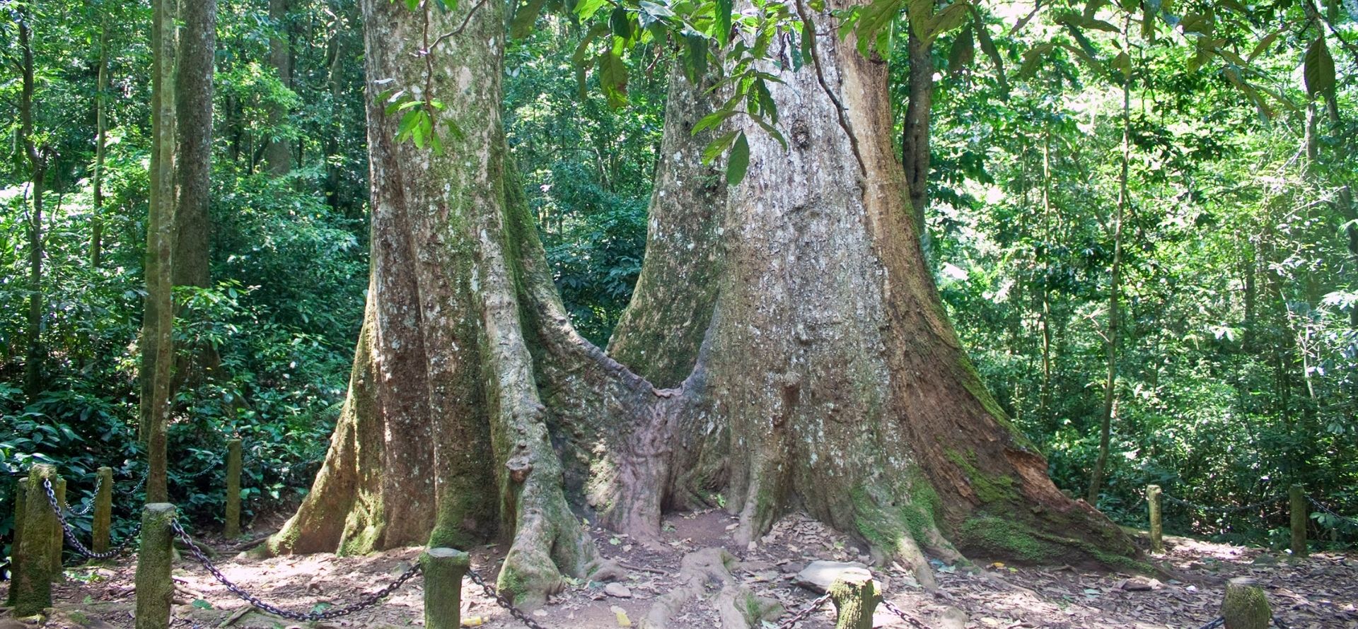 Cuc Phuong National Park eco-tour - Discover the Real Ninh Binh with Origin Vietnam