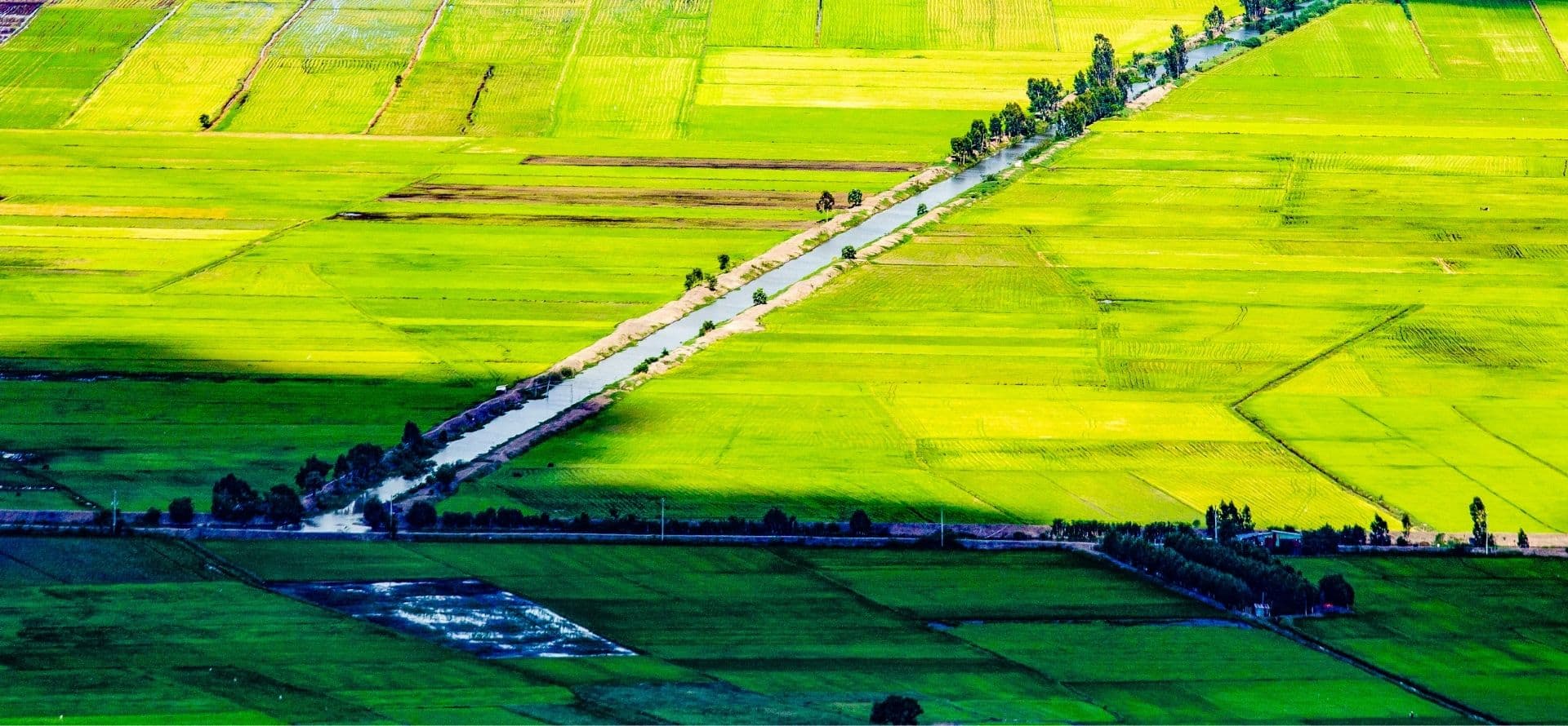 Rural farming village tour from Hanoi Hanoi tour by Origin Vietnam