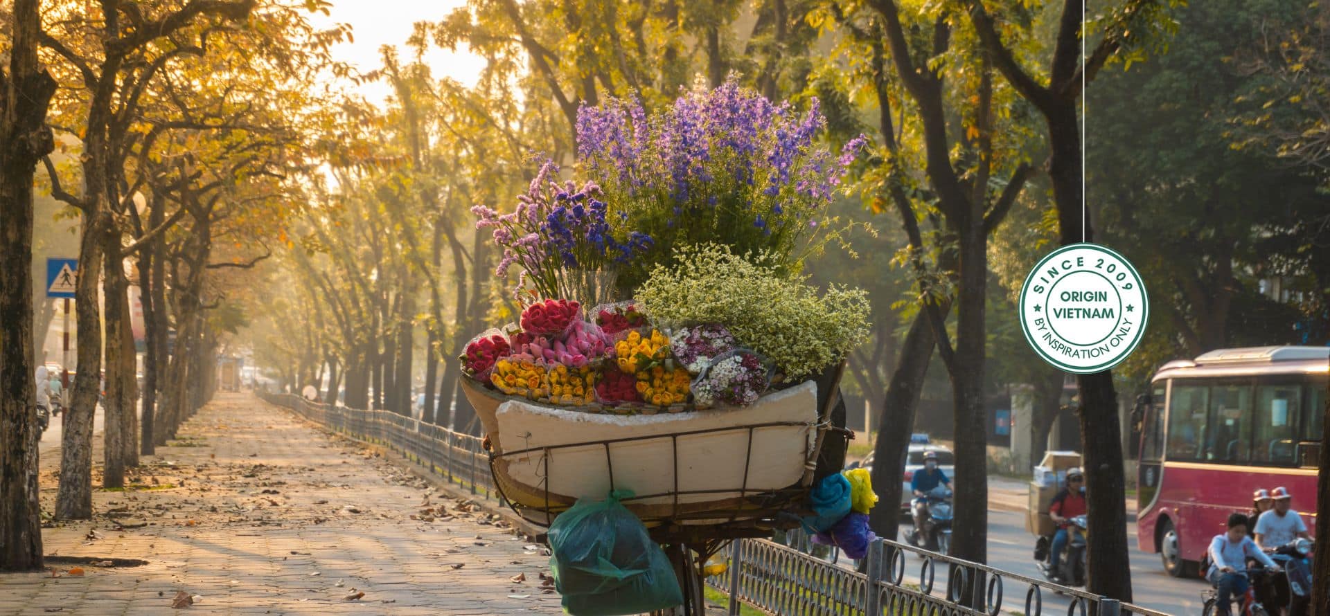 Hanoi tour packages combining city highlights, street food, culture and nearby day trips