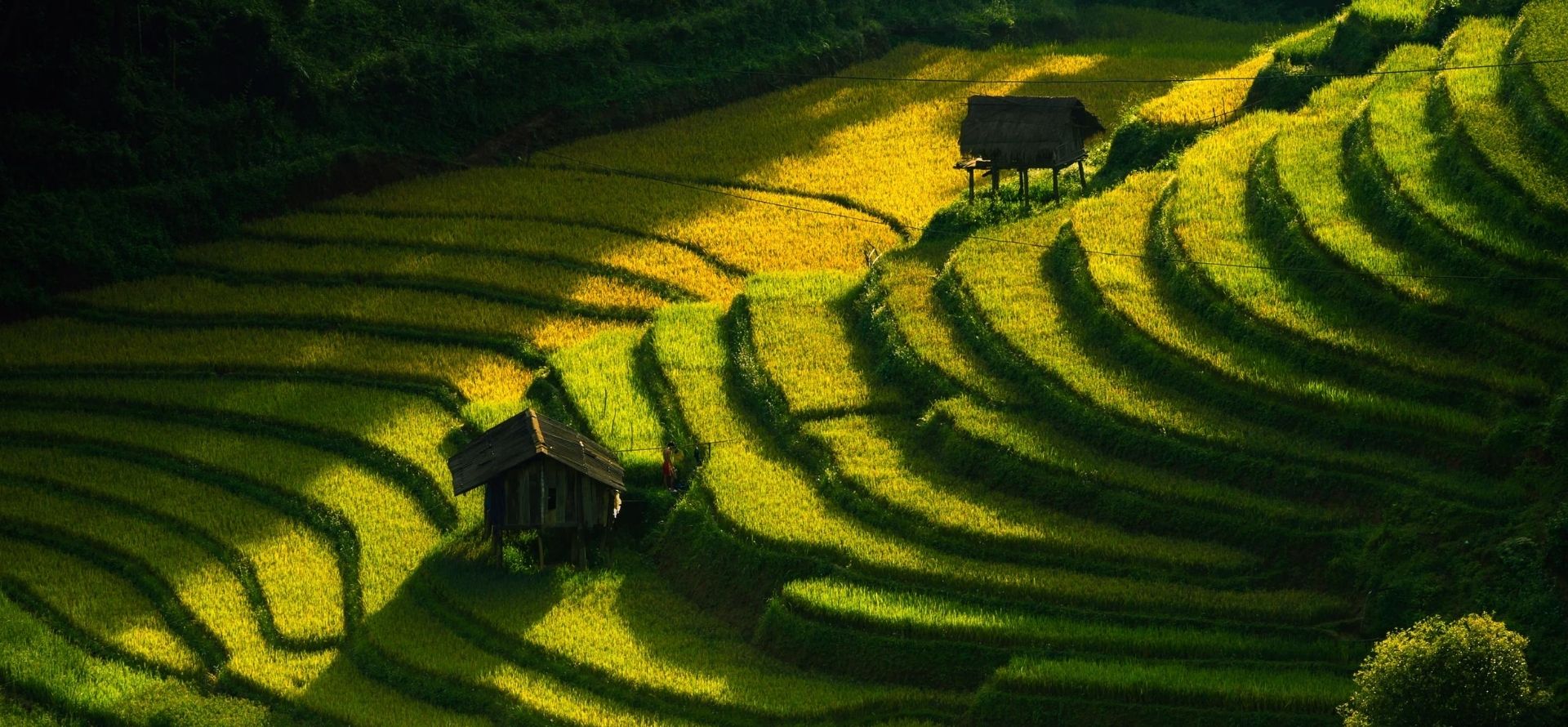 Highlights Of Mu Cang Chai 4 Days Mu Cang Chai tour by Origin Vietnam