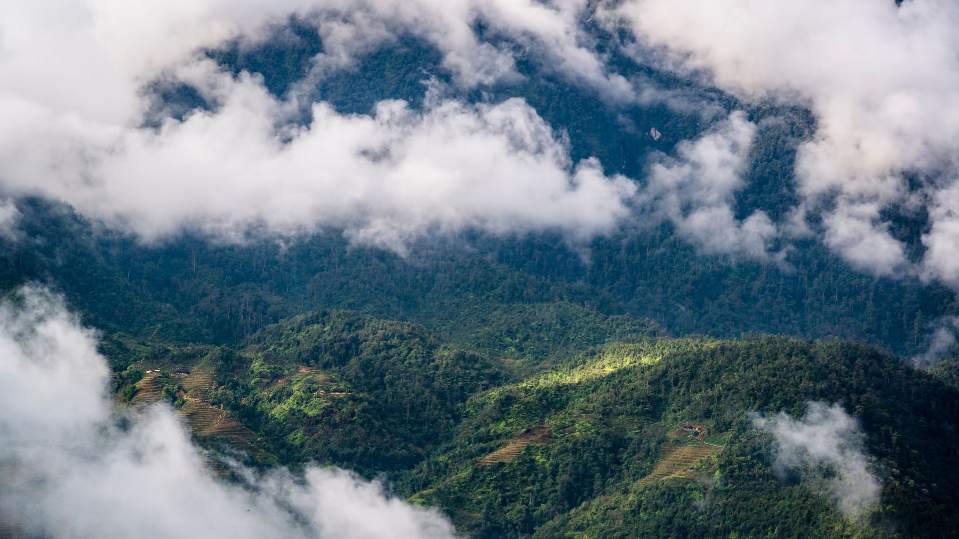 Hoang Lien National Park