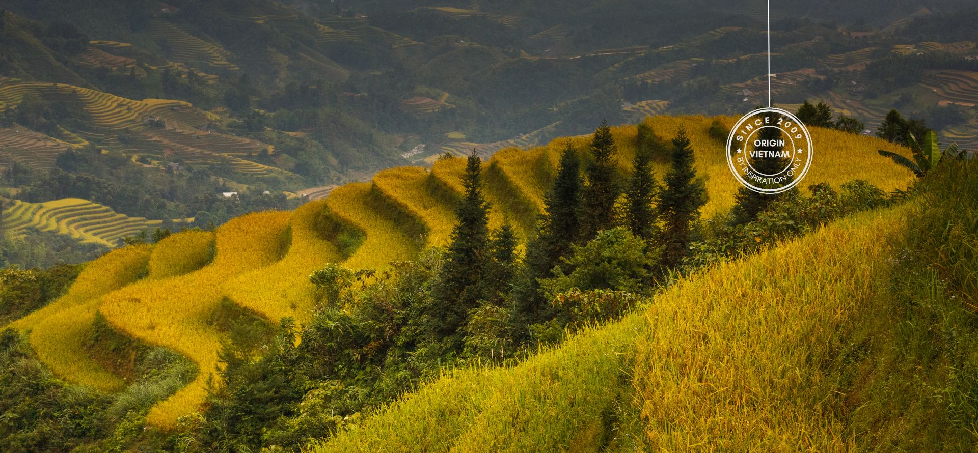 Ha Giang trekking tour in Hoang Su Phi rice terraces - Ha Giang Loop private tour by Origin Vietnam