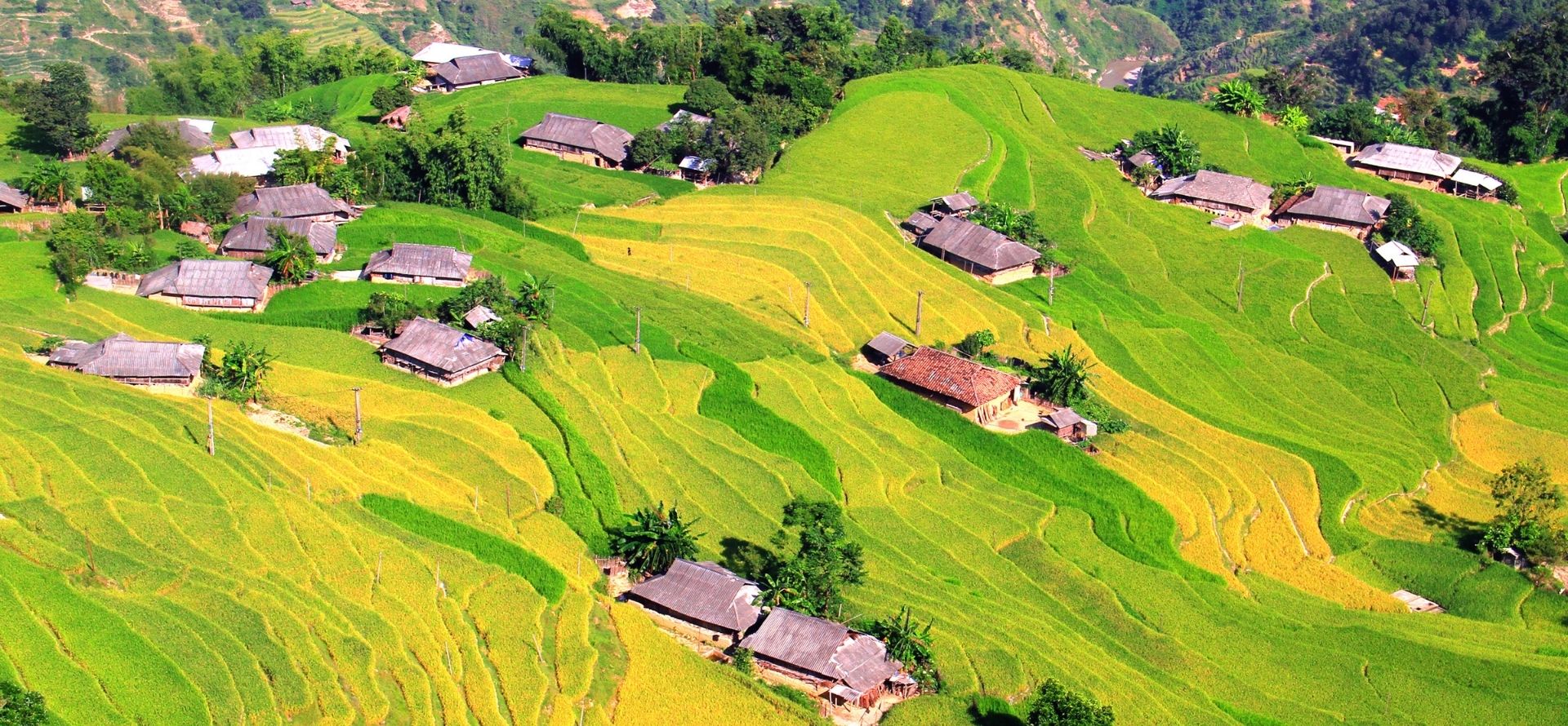 Off the Beaten Path Tour in North Vietnam Mu Cang Chai tour by Origin Vietnam
