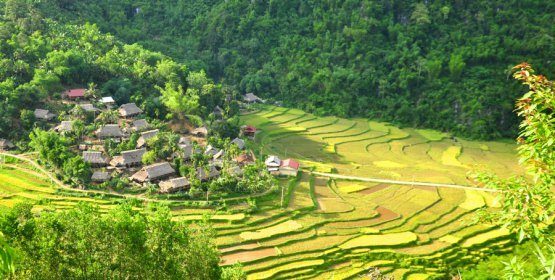 Pu Luong Tours Pu Luong terraced rice