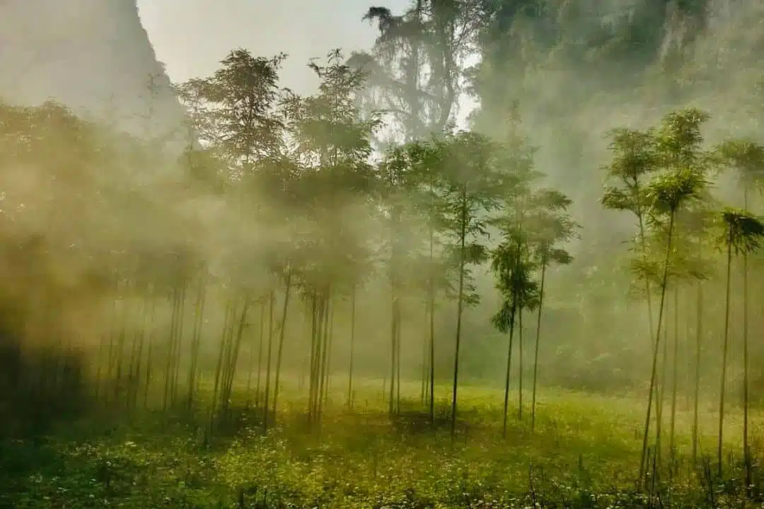 Off-the-beaten-path Cao Bang adventure tour