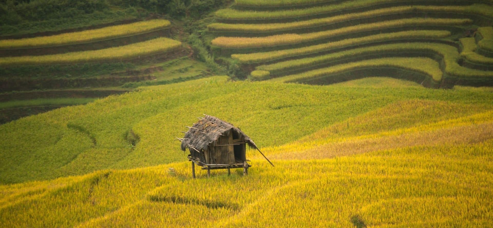 Inspired By Tour Northwest Of Vietnam Mu Cang Chai tour by Origin Vietnam