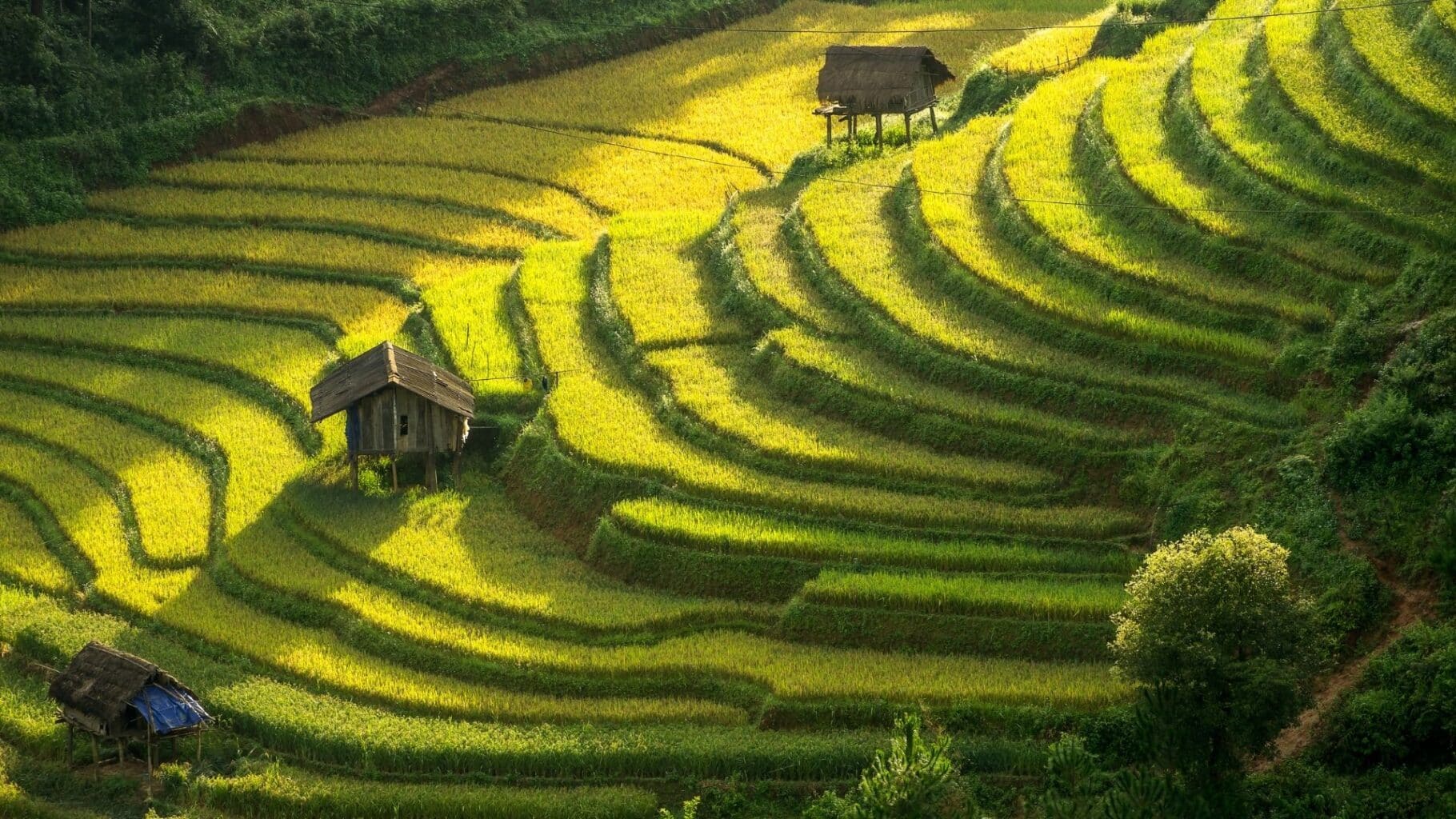 Is Vietnam Too Hot in Summer?