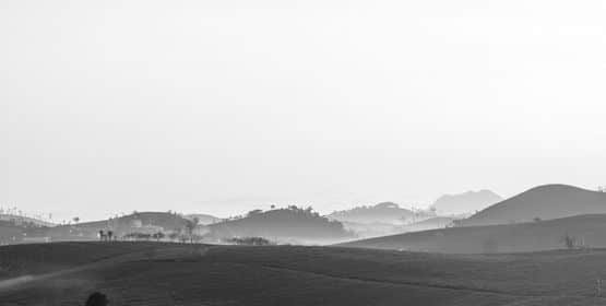 MC_1 Moc Chau tea hill