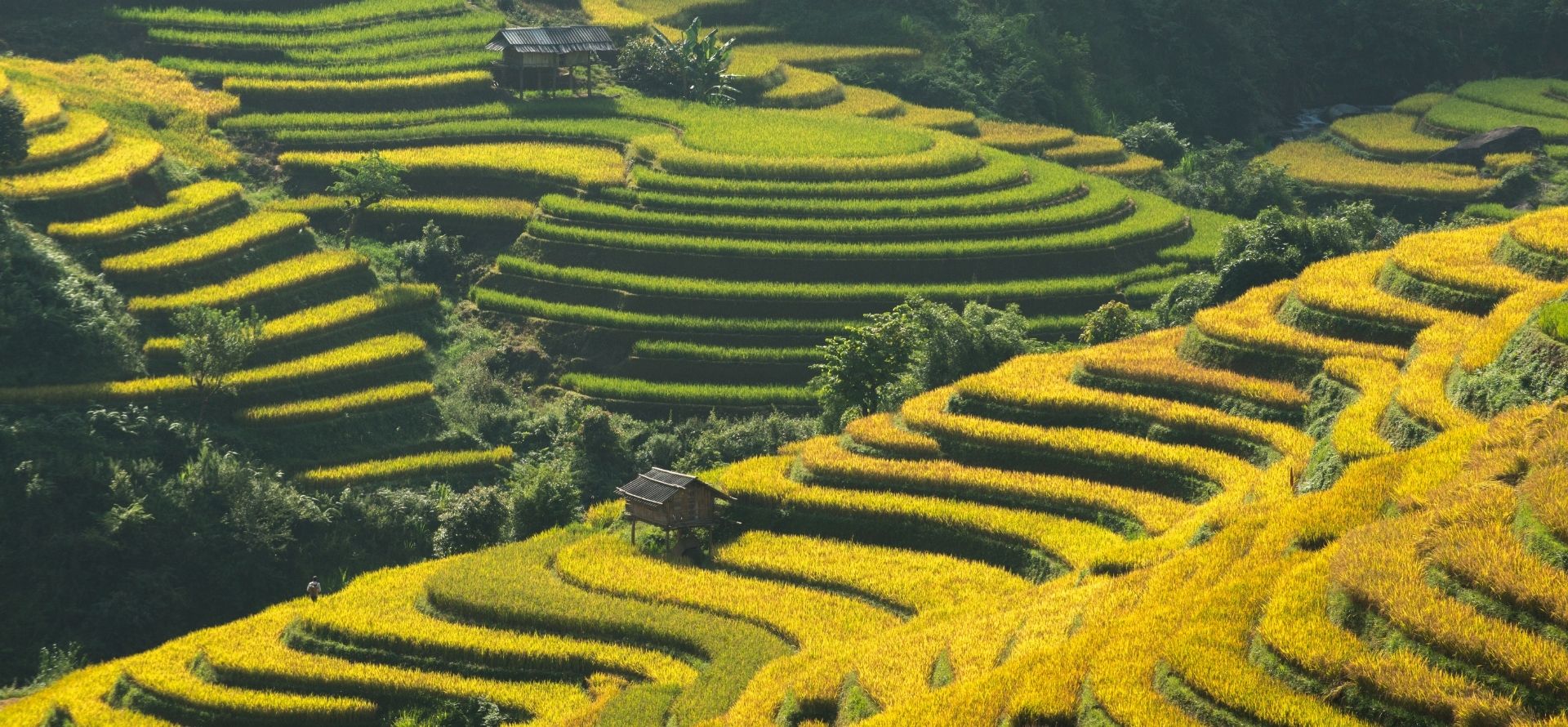 Vietnam family adventure tour multi-day journey designed by local experts