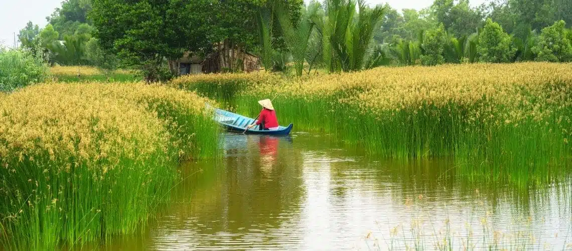 Mekong River Delta