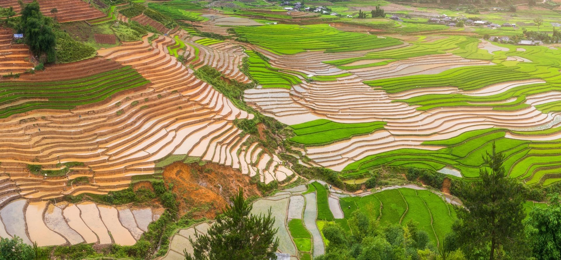 Mu Cang Chai Photography Tour Mu Cang Chai tour by Origin Vietnam