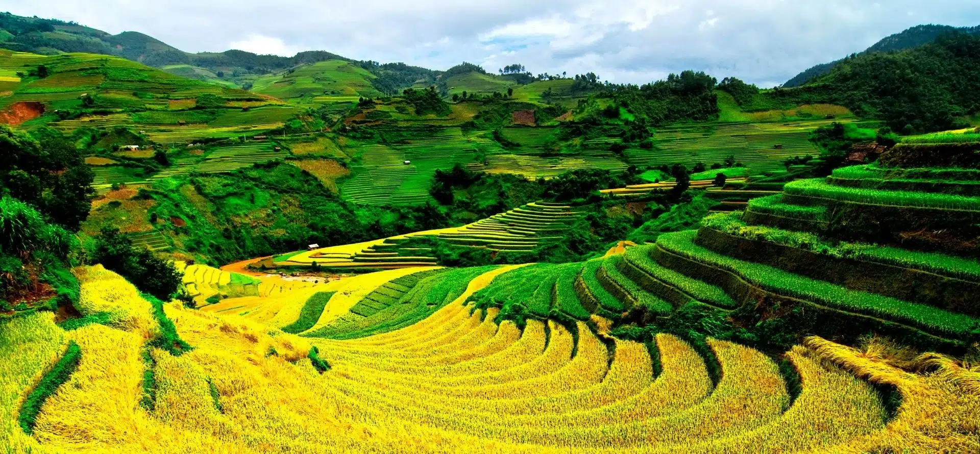 Mu Cang Chai Trek & Cruise Halong Bay Mu Cang Chai tour by Origin Vietnam