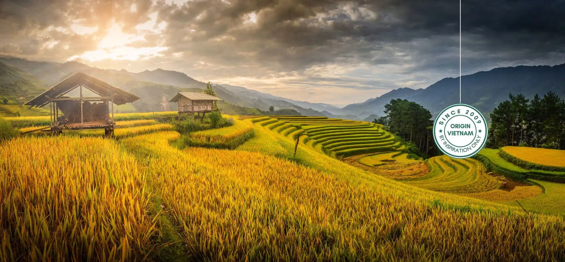 Mu Cang Chai tours and breathtaking rice terrace landscapes