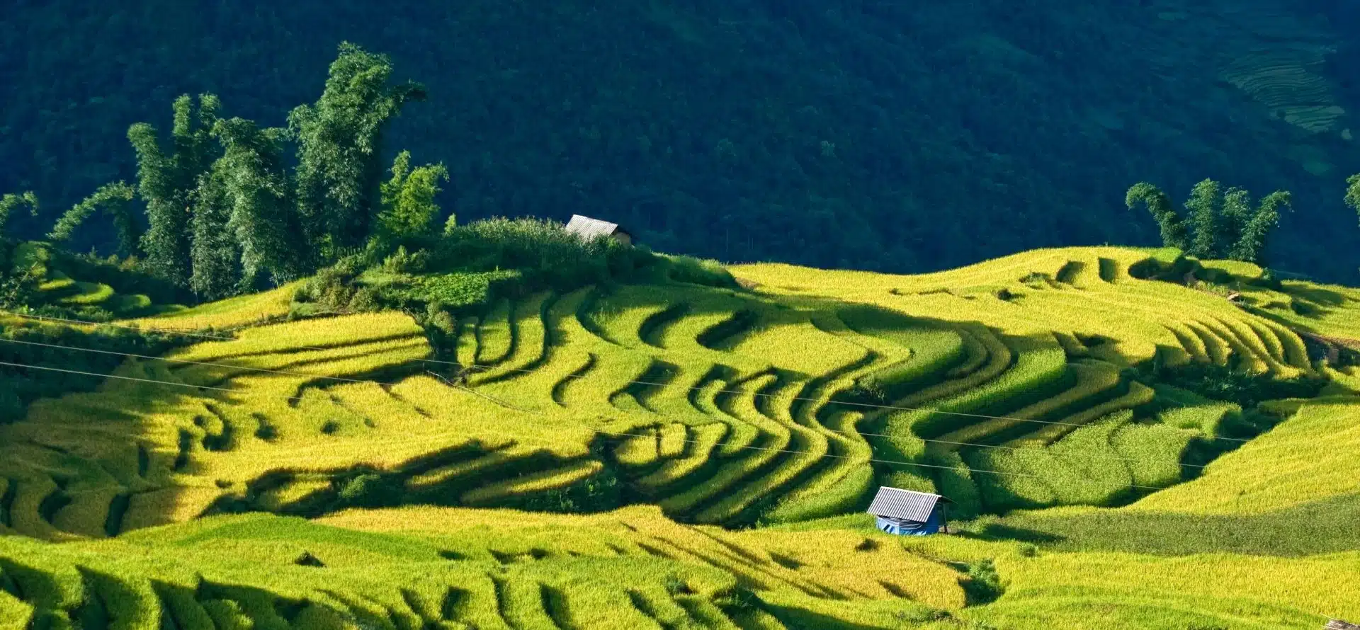 Mu Cang Chai Travel guide