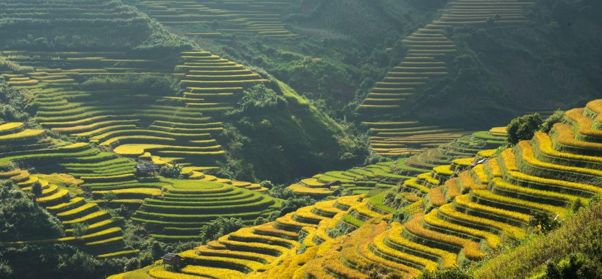 Mu Cang Chai Trekking Mu Cang Chai tour by Origin Vietnam