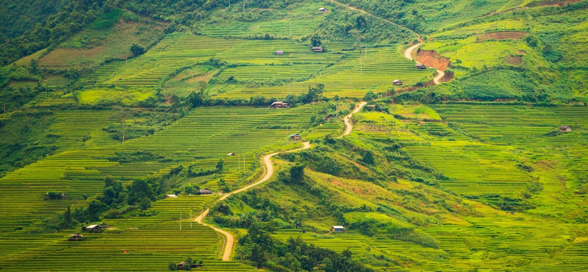Muong Lo Valley Tour Hanoi tour by Origin Vietnam
