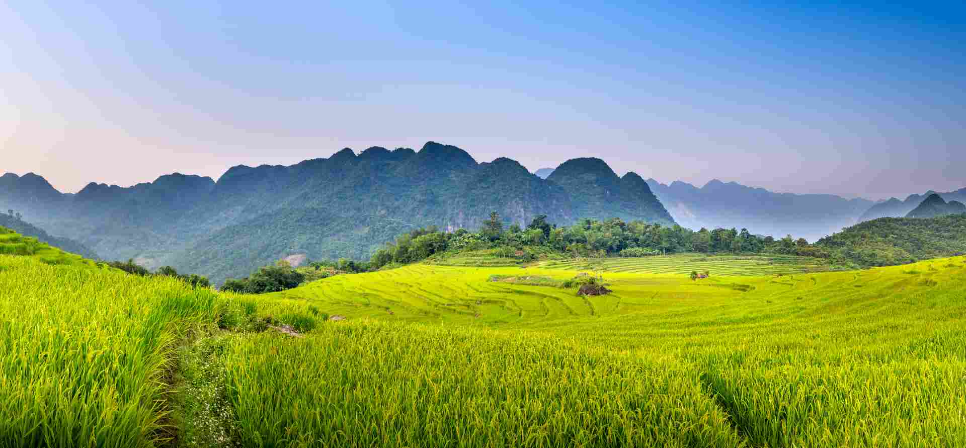 Ninh Binh and Pu Luong trekking tour 3 days 2 nights - Discover the Real Ninh Binh with Origin Vietnam
