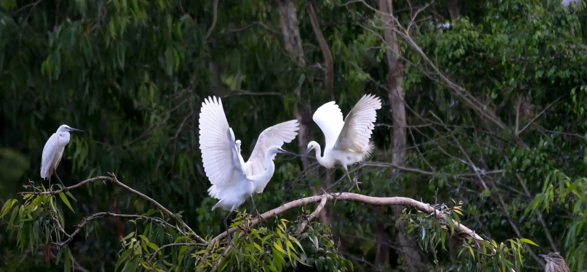 Ninh Binh tour with culture and nature for families - Discover the Real Ninh Binh with Origin Vietnam