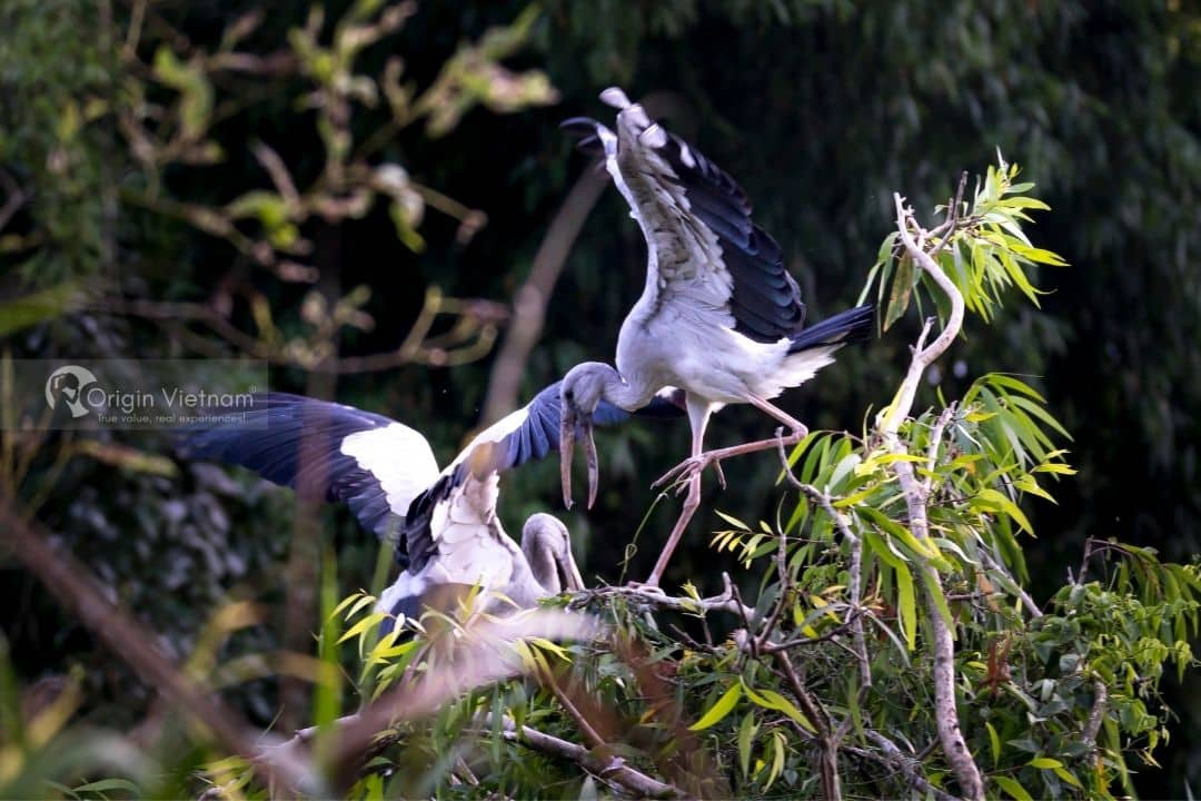 North Vietnam Tour By Style Thung Nham