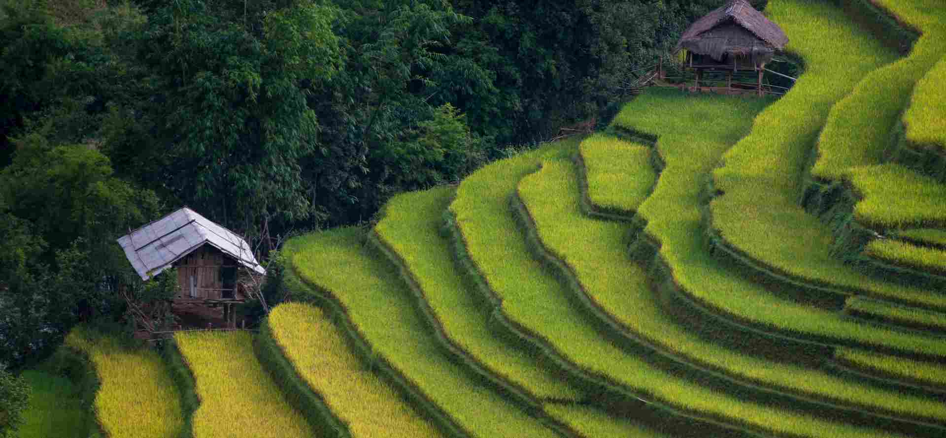 7-Day Northwest Vietnam & Ninh Binh Tour: Khau Pha Pass, Mu Cang Chai & Trang An - Discover the Real Ninh Binh with Origin Vietnam