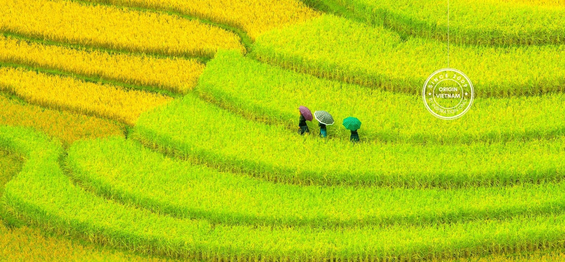 Mu Cang Chai Photography Plus Moc Chau Trip Son La tour by Origin Vietnam