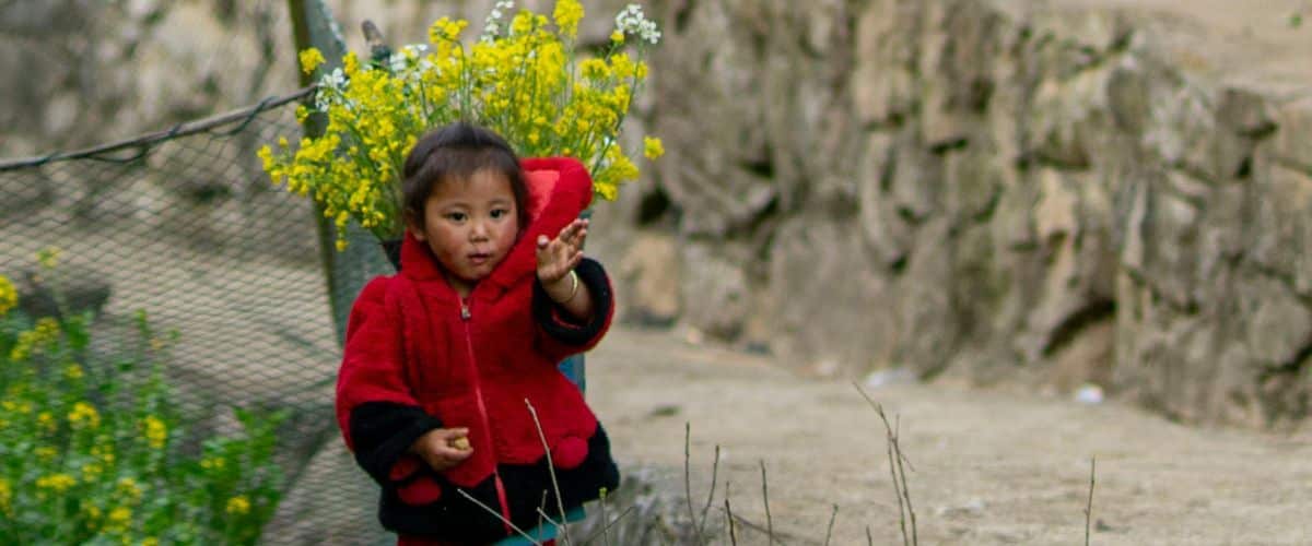 Private vs Group Tours in Ha Giang: Which Is Better?