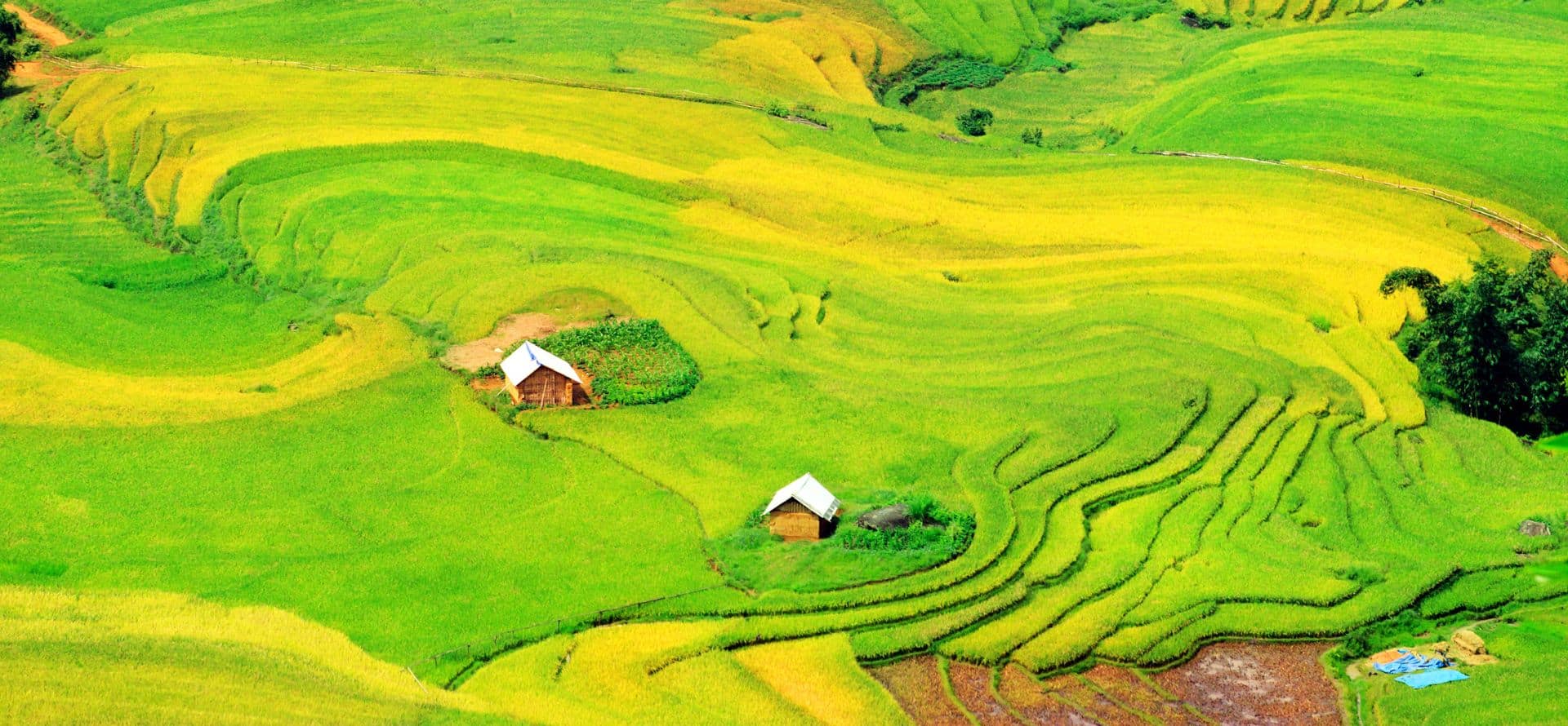 Sapa Rice Terrace Tour Sapa tour by Origin Vietnam