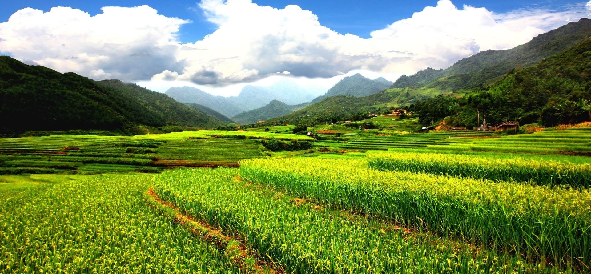 Sa Pa and Mu Cang Chai tour package Mu Cang Chai tour by Origin Vietnam