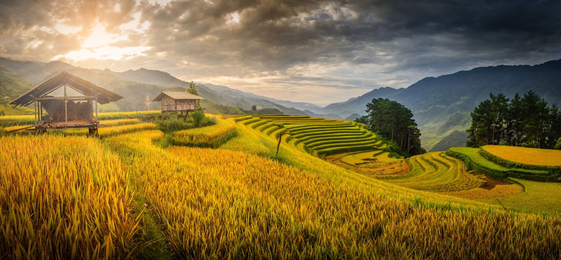 Lai Chau And Mu Cang Chai Terrace Fields Sapa tour by Origin Vietnam