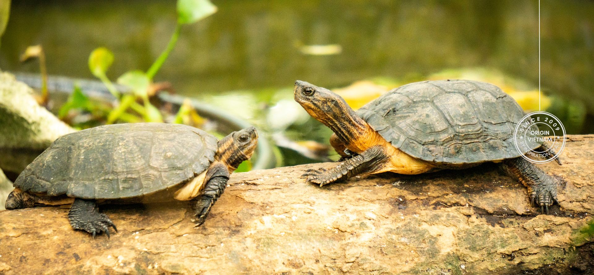 Trekking Adventure May Bac Peak - Discover the Real Ninh Binh with Origin Vietnam