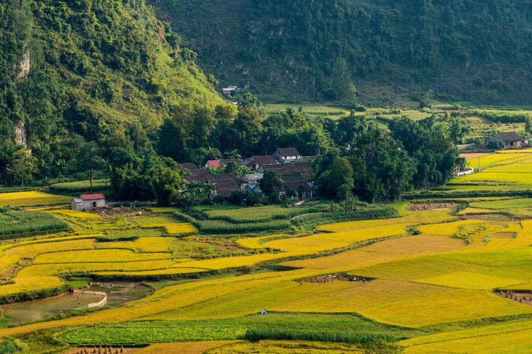 vietnam 2 week itinerary ha giang rice terraces