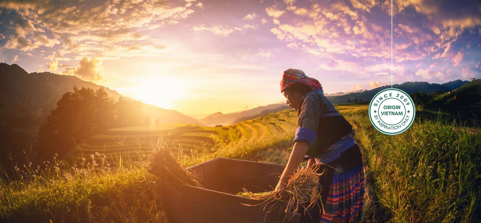 Vietnam photography tours capturing landscapes, culture and daily life
