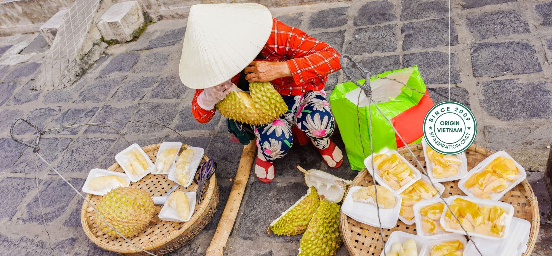 Vietnam shore excursions designed for cruise passengers at key ports