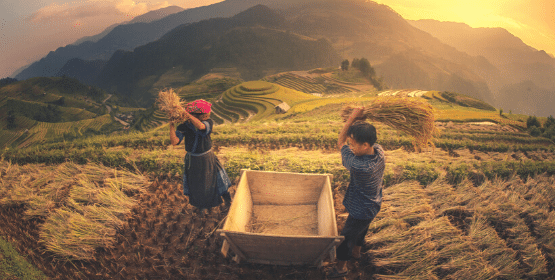 Best Hanoi Tours Package