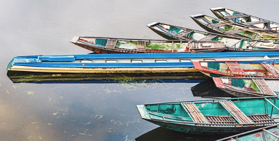 Tam coc boats